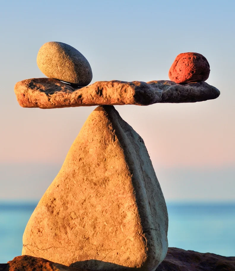 wellness care in Sarasota FL